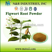 Natural Figwort Root Extract Powder(Scrophularia ningpoensis)
